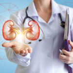 74095770 - doctor shows healthy kidneys on a blue background.